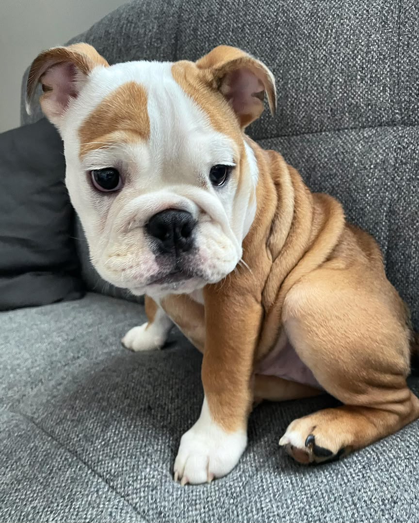 Beverly